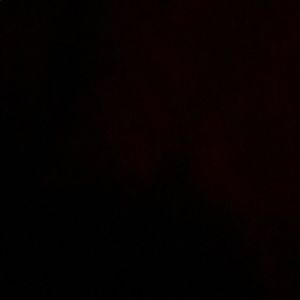 Meet your Posher, Dominick